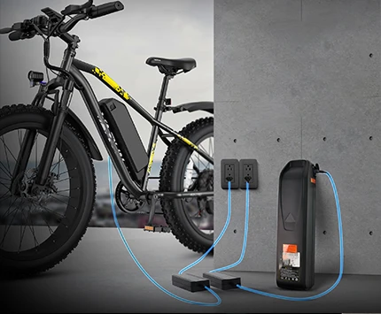 Electric Bicycle Battery