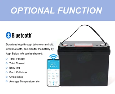 2026 New Energy Trend: ZBPOWER Electric Motorcycle Lithium Battery, Solve You...