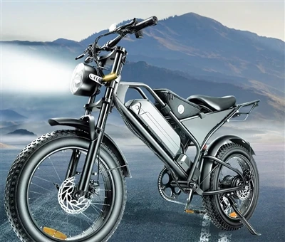 End These Ebike Frustrations Today