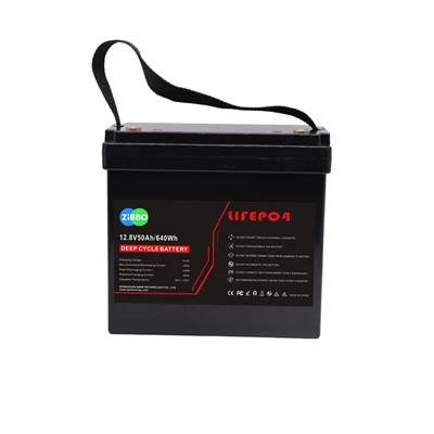 12V 50AH Li-FePO4 BATTTER with BMS