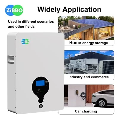 Powerwall Lifepo4 Battery 100Ah 48V